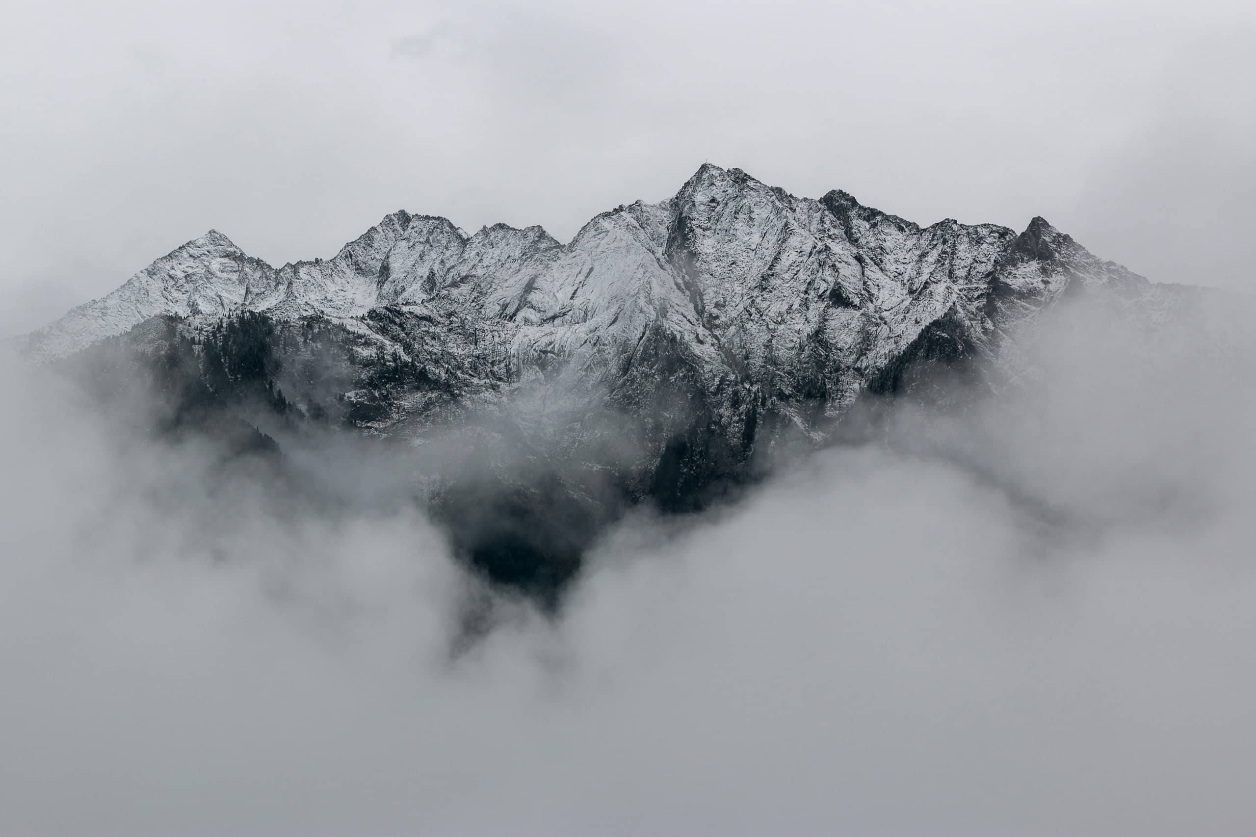 Snow-covered Sierra Nevada peaks rising above a bank of clouds at dawn
